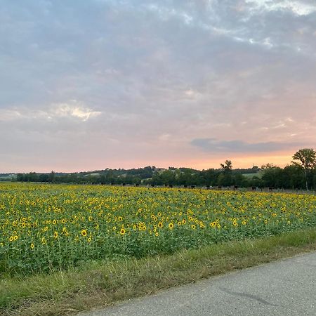 Dependance Privee A La Campagne Avec Spa Saint-Cirice Zewnętrze zdjęcie