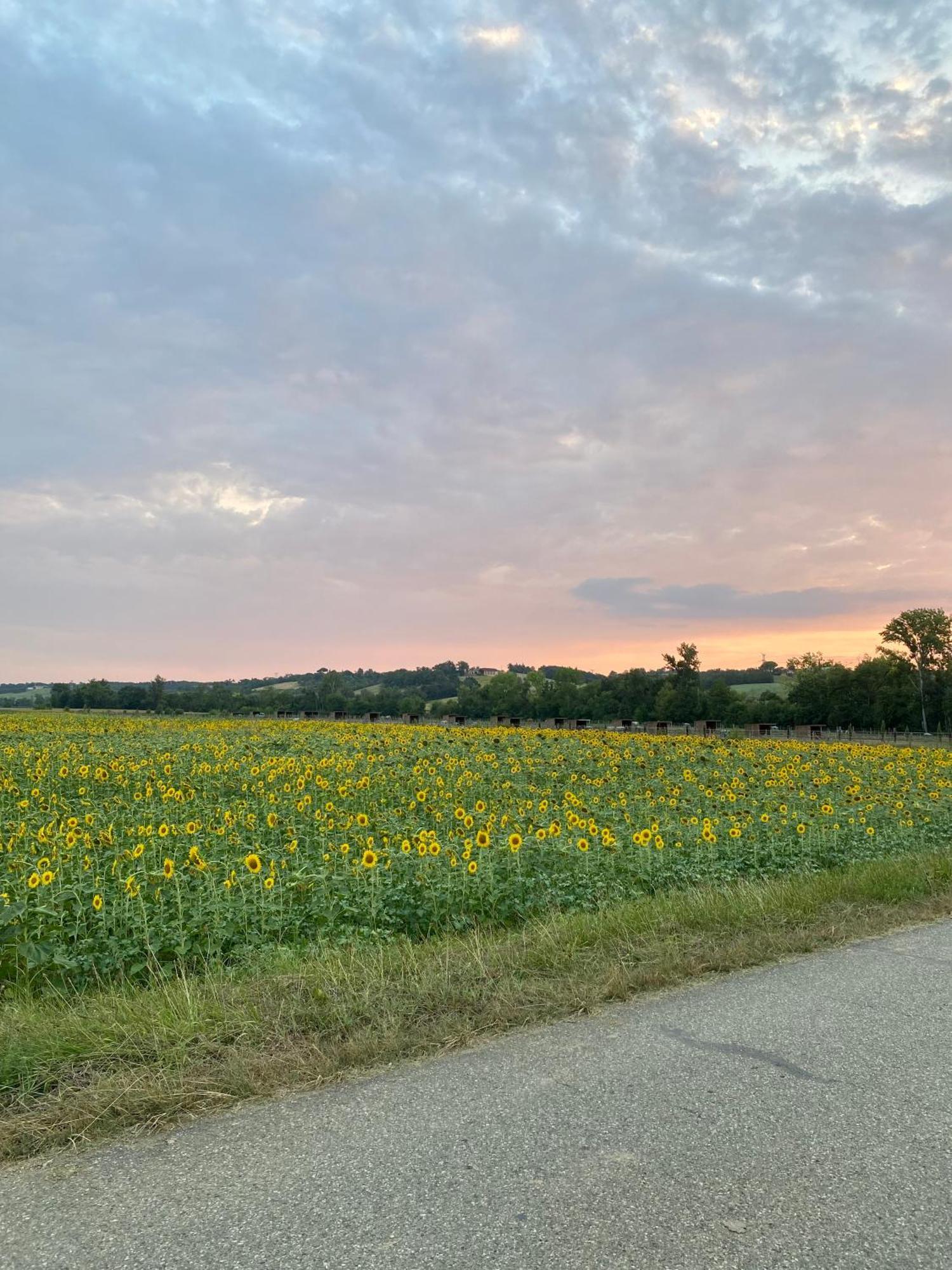 Dependance Privee A La Campagne Avec Spa Saint-Cirice Zewnętrze zdjęcie